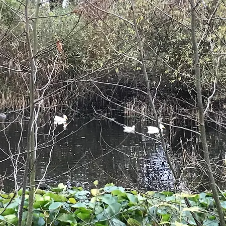 Appartement Tante Jannis Sommerpension Bogense